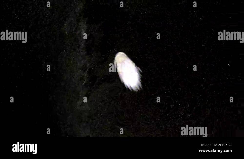 Shoemaker levy Stock Videos & Footage HD and 4K Video Clips Alamy