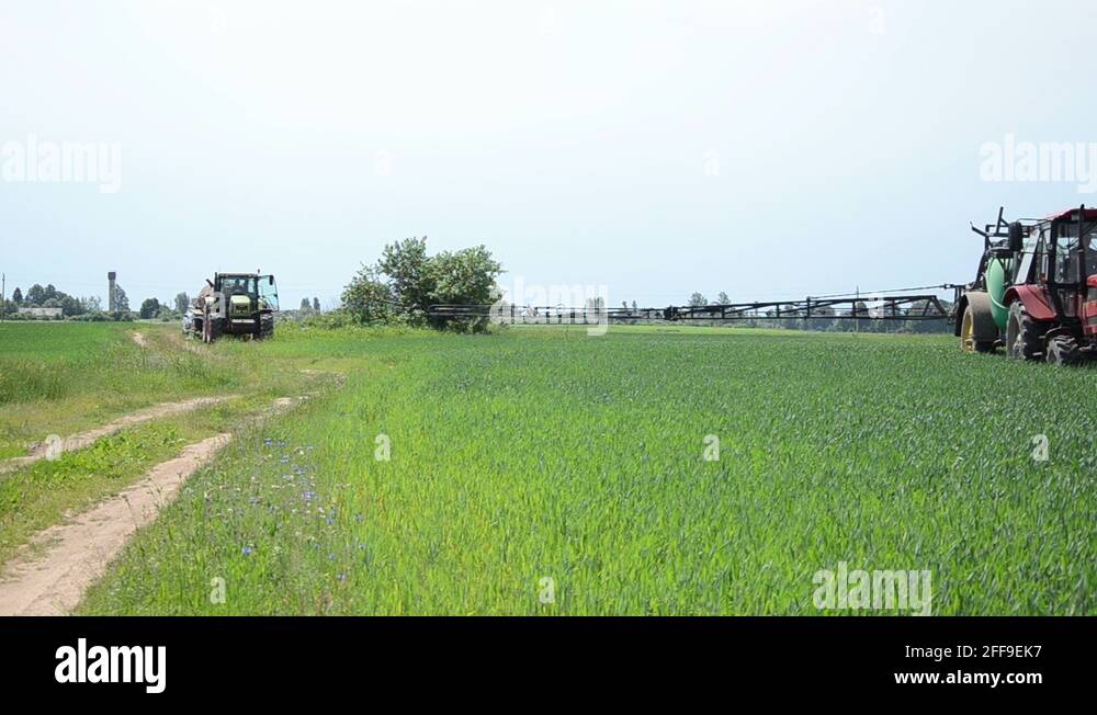 Insect pests farm crops Stock Videos & Footage - HD and 4K Video Clips ...