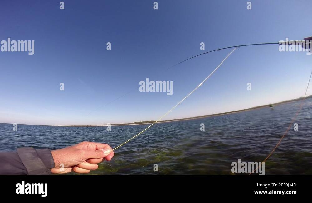 Sea trout fishing Stock Videos & Footage - HD and 4K Video Clips - Alamy