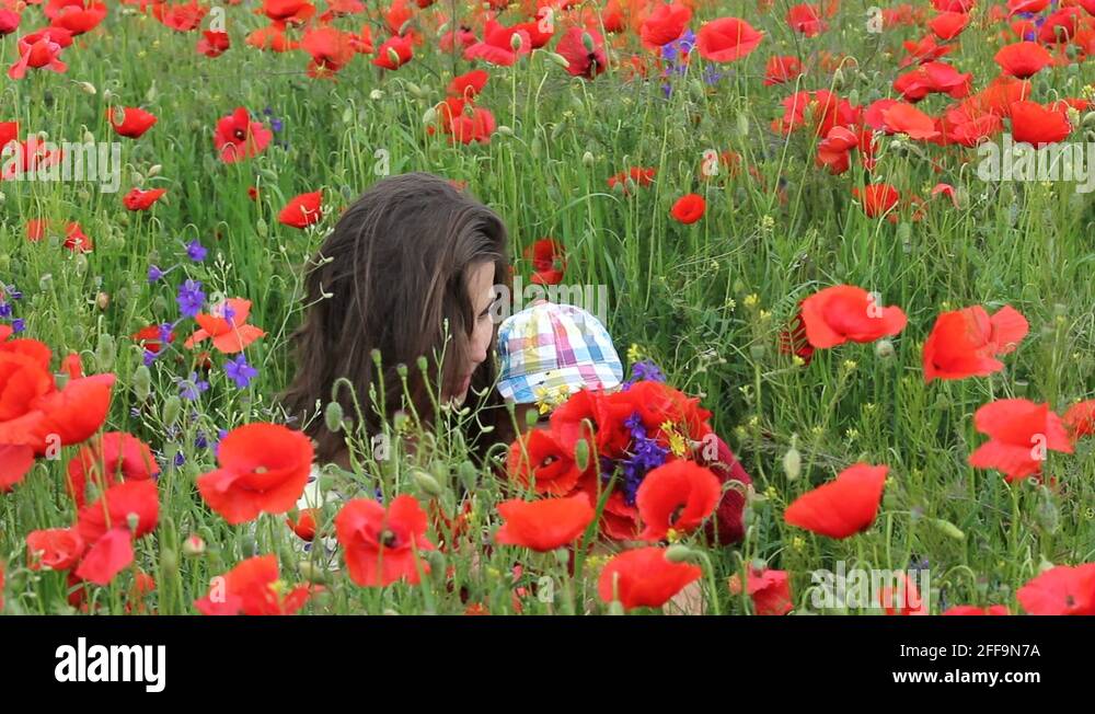 Flower smell Stock Videos & Footage HD and 4K Video Clips Alamy