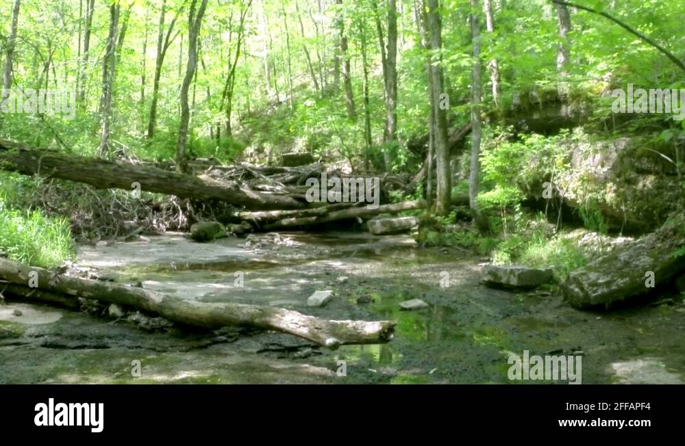 Beaver dam kentucky Stock Videos & Footage HD and 4K Video Clips Alamy