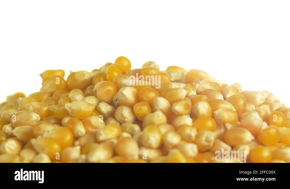 White kernel corn Stock Videos & Footage HD and 4K Video Clips Alamy