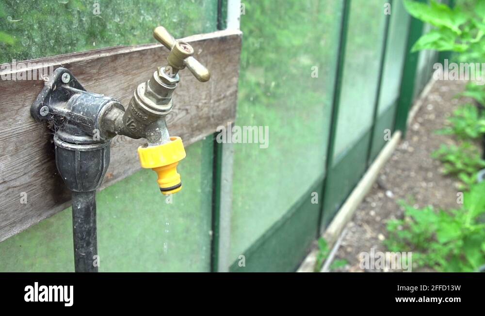Dripping tap garden Stock Videos & Footage HD and 4K Video Clips Alamy