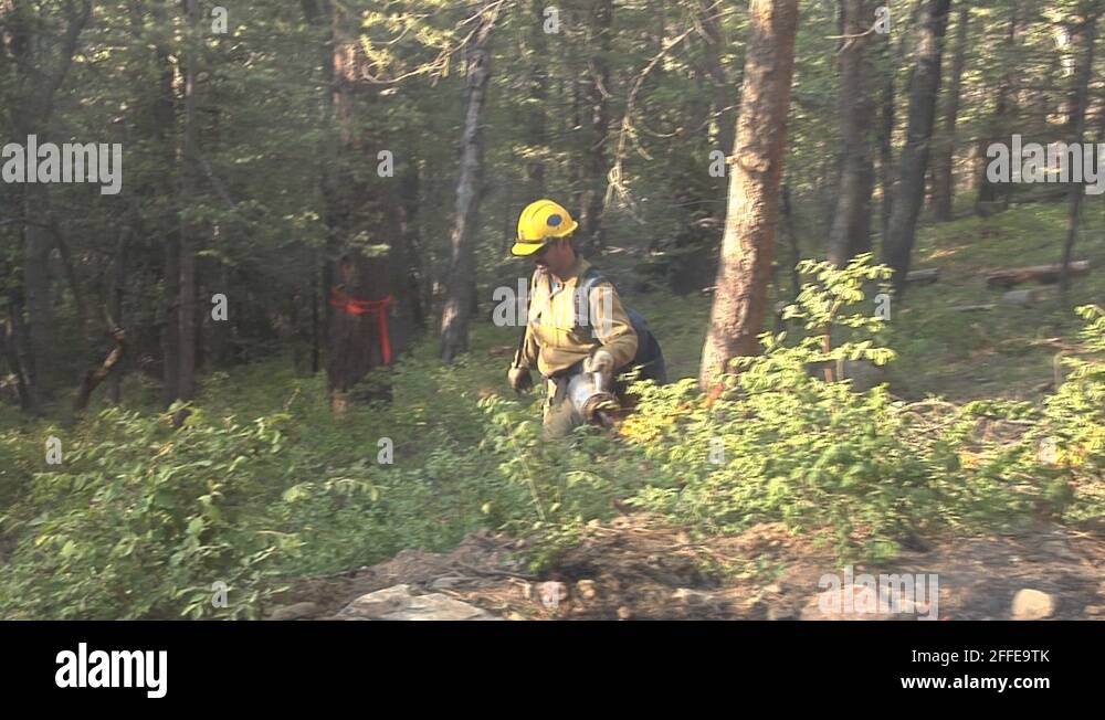 Firefighter starting back fire with drip torch thru heavy bushes Stock