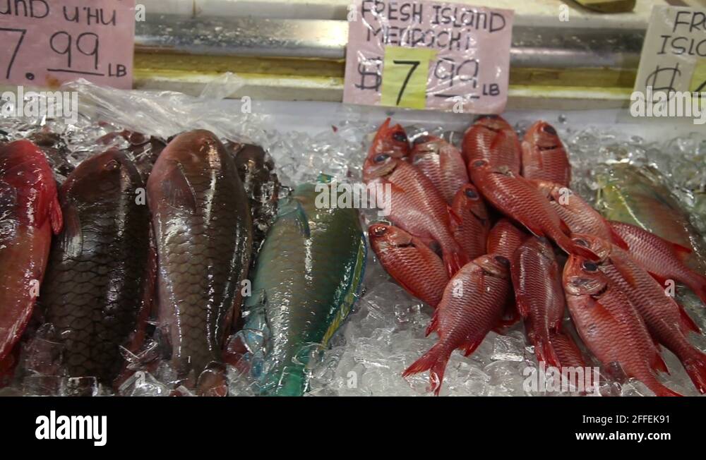 Uhu fish hawaii Stock Videos & Footage HD and 4K Video Clips Alamy