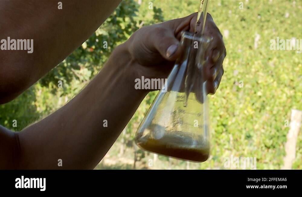Agronomist is conducting chemical acidic analysis of grape juice Stock Video Footage Alamy