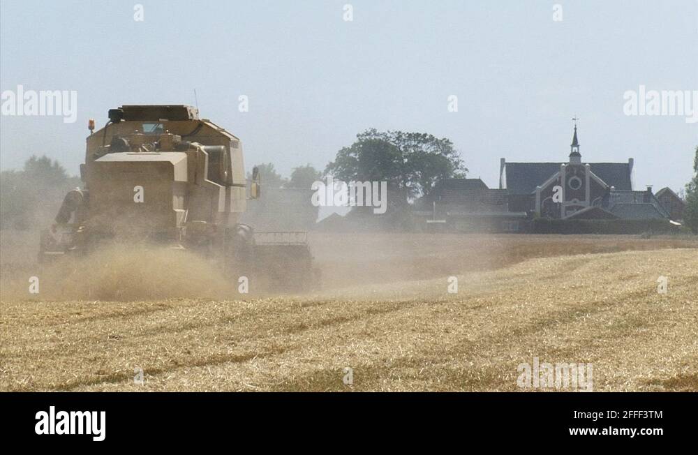 Combine harvester, straw chopper medium shot Stock Video Footage Alamy