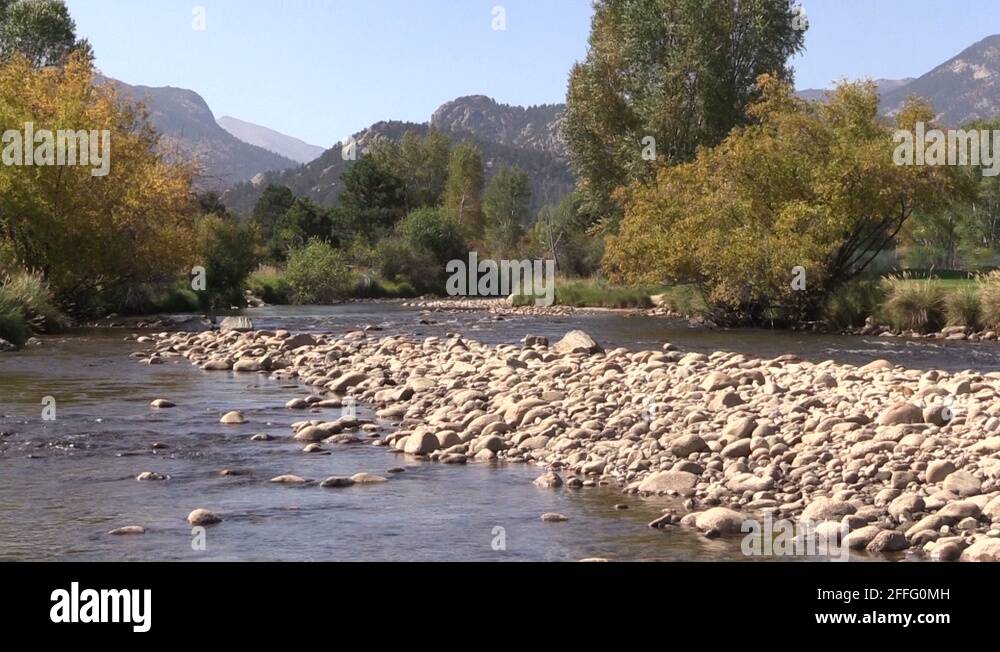 Aspens and river Stock Videos & Footage HD and 4K Video Clips Alamy