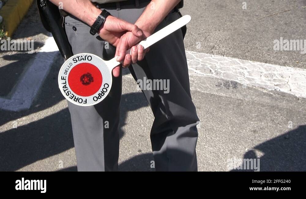 Abbigliamento corpo forestale Clearance