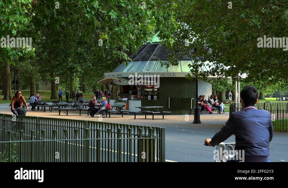 Speakers corner hyde park Stock Videos & Footage HD and 4K Video