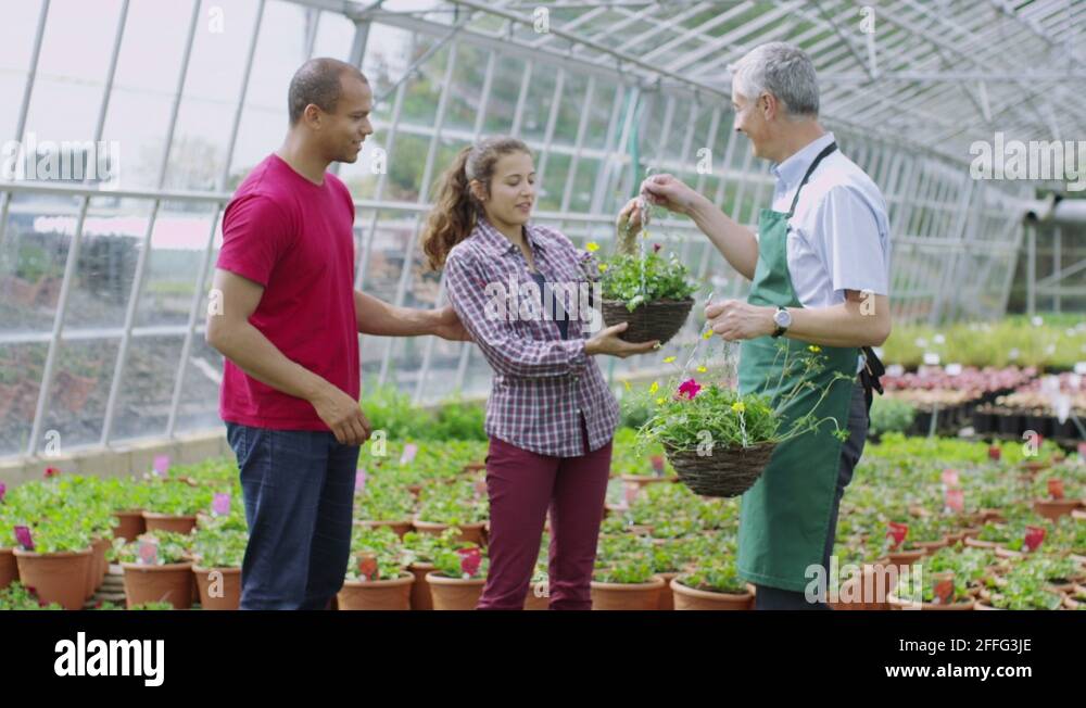 Buying plants garden centre uk Stock Videos & Footage HD and 4K Video