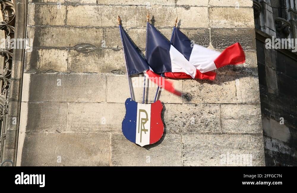 French medieval flag Stock Videos & Footage - HD and 4K Video Clips - Alamy