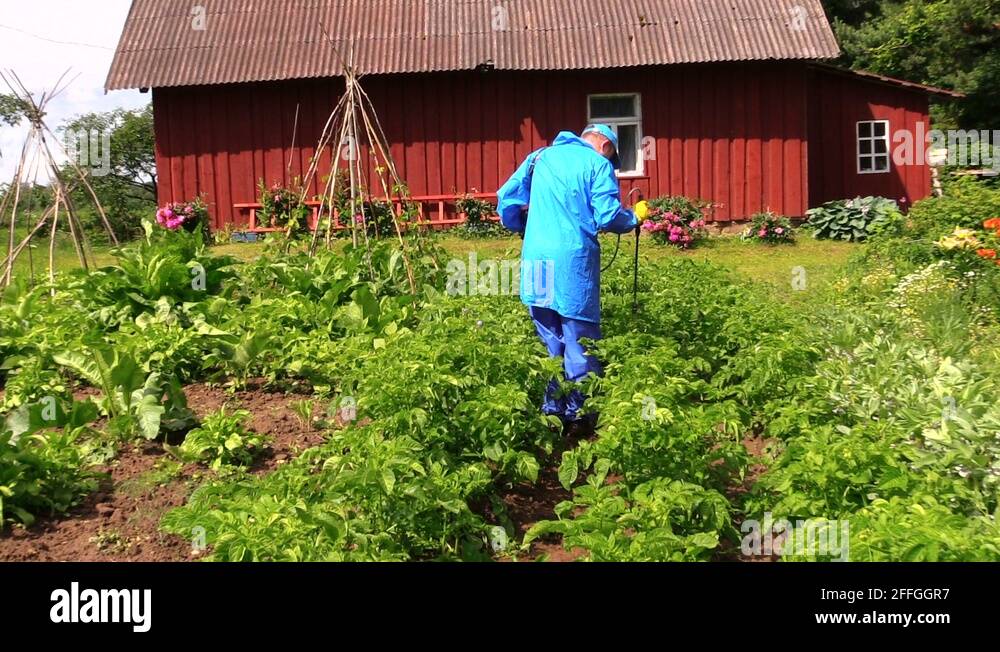 Peasant farmer Stock Videos & Footage HD and 4K Video Clips Alamy