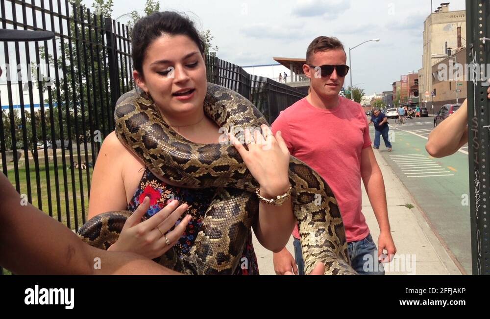 0546 Snakes in New York City Stock Video Footage Alamy