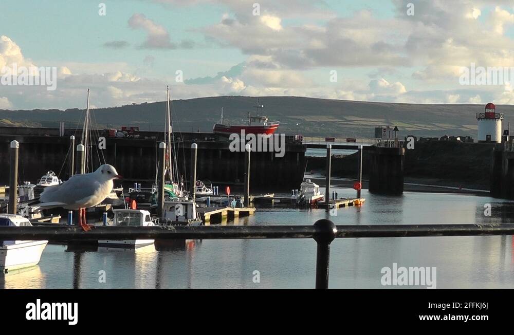 Harbour railing Stock Videos & Footage - HD and 4K Video Clips - Alamy