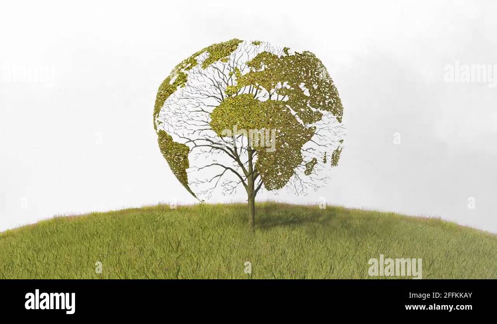 World map tree Stock Videos & Footage - HD and 4K Video Clips - Alamy