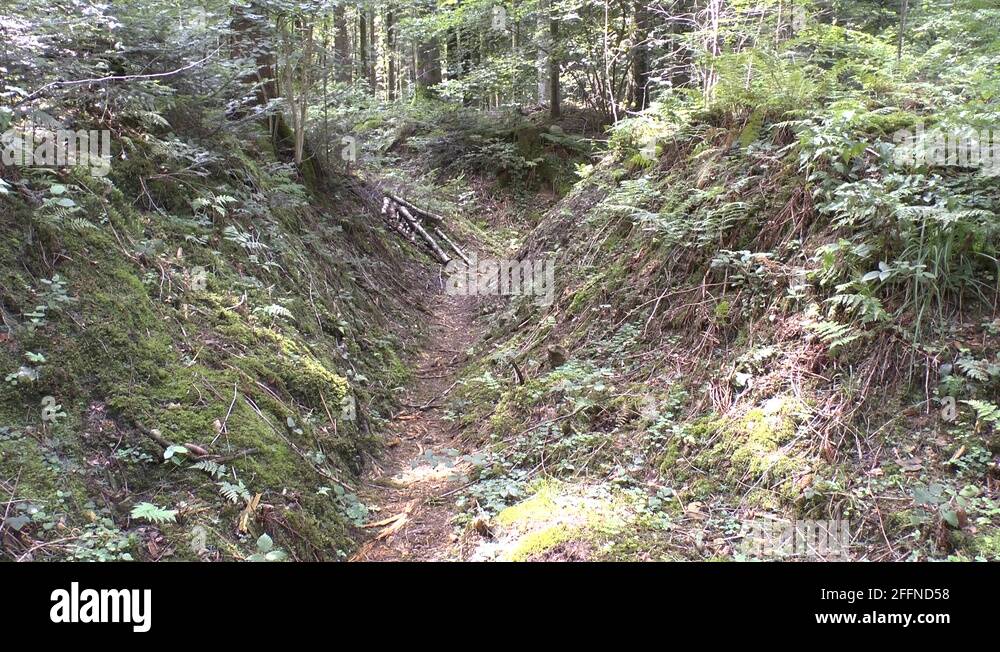 Argonne france Stock Videos & Footage HD and 4K Video Clips Alamy