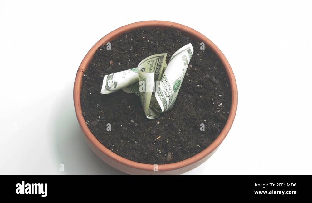 Pot of money Stock Videos & Footage HD and 4K Video Clips Alamy