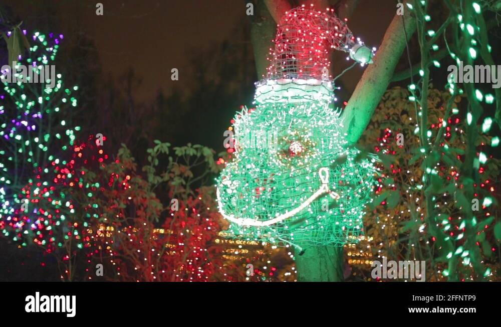 Vandusen garden van dusen gardens festival lights Stock Videos