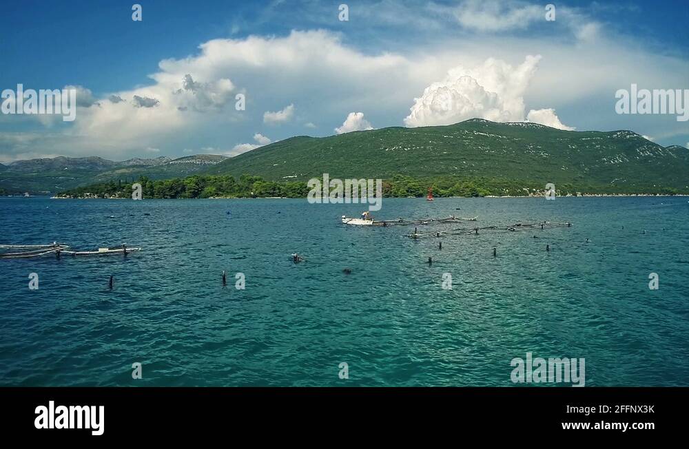Oyster bay cove Stock Videos & Footage HD and 4K Video Clips Alamy
