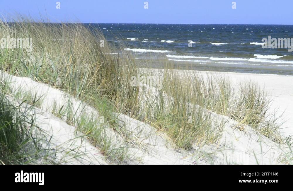 Береговая линия балтийского. Травяной пляж.