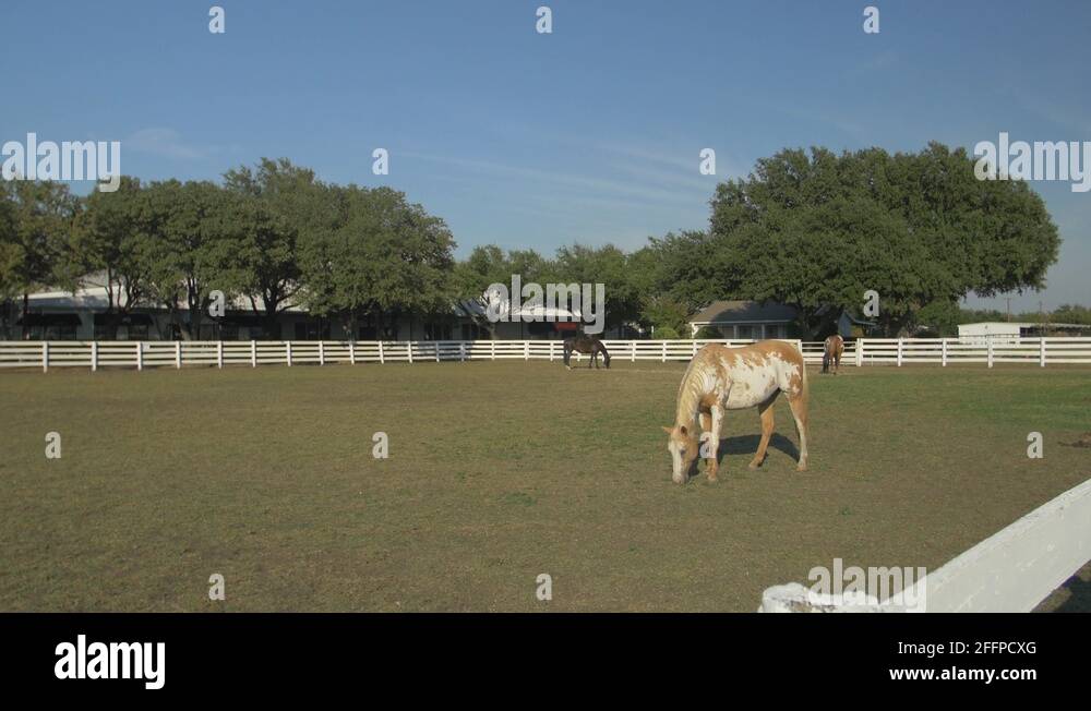 Dallas TV series filming location Stock Video Footage Alamy