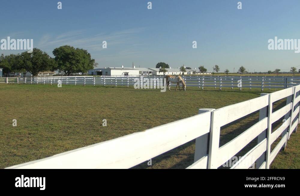 Dallas TV series filming location Southfork Ranch Stock Video Footage Alamy