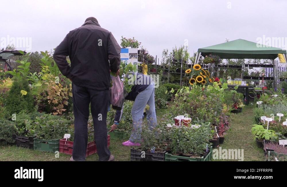 Man buying plants Stock Videos & Footage HD and 4K Video Clips Alamy