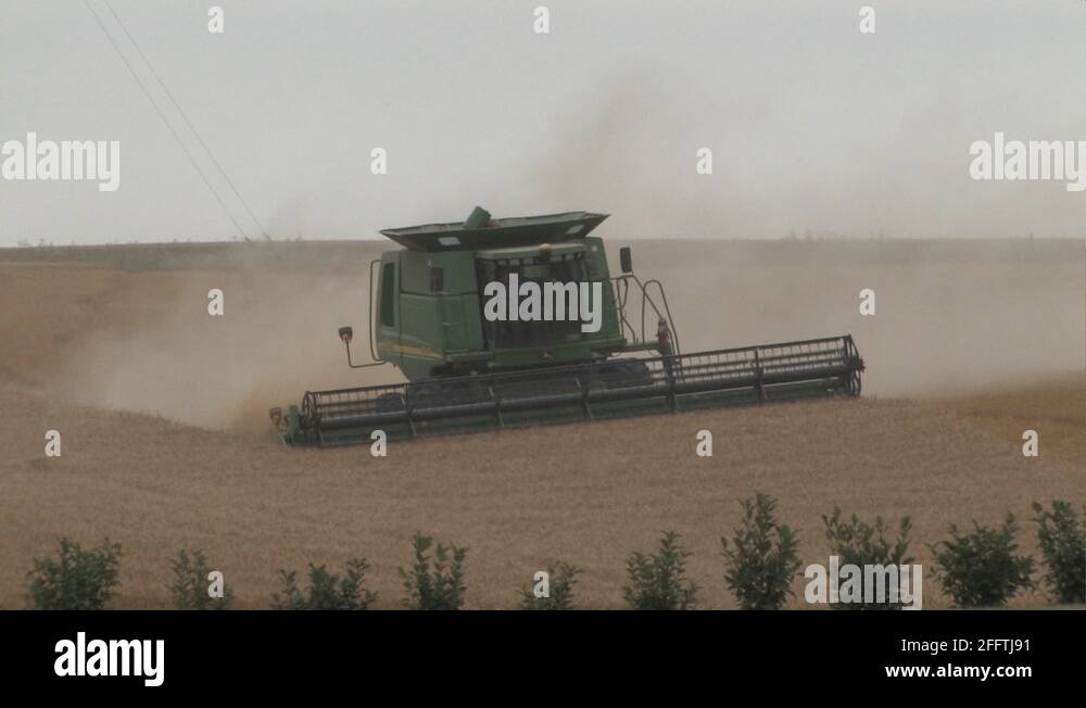 Canadian prairie farm harvesting Stock Videos & Footage - HD and 4K ...