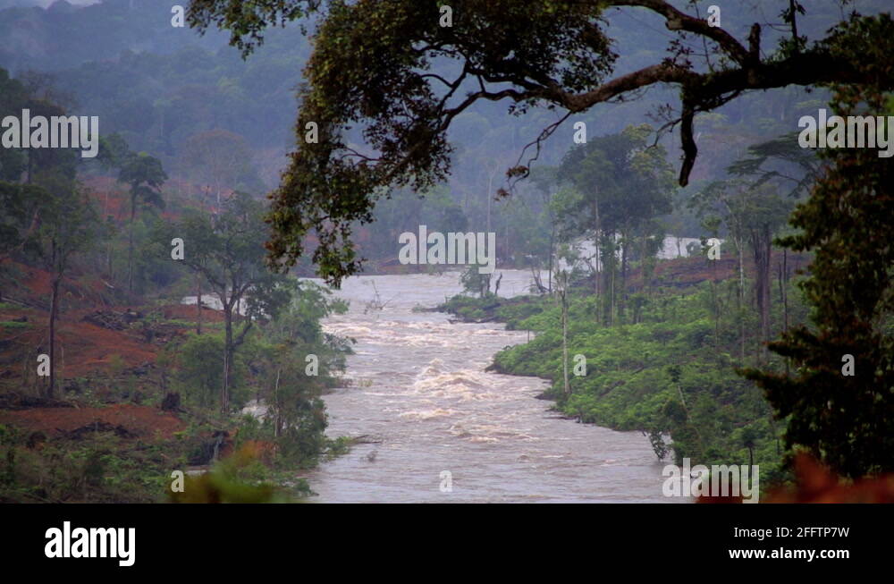 Africa equatorial guinea Stock Videos & Footage - HD and 4K Video Clips
