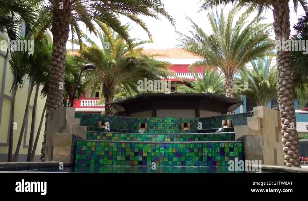 Fountain of palm trees Stock Videos & Footage HD and 4K Video Clips