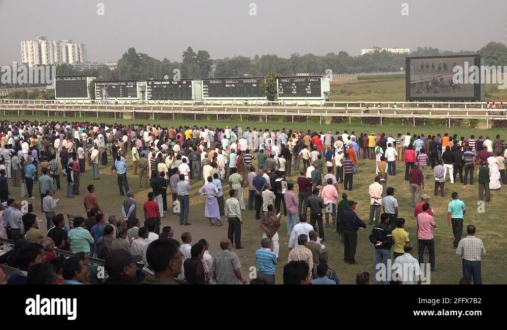 Kolkata horse racing tracks, running horses, crowd, audience