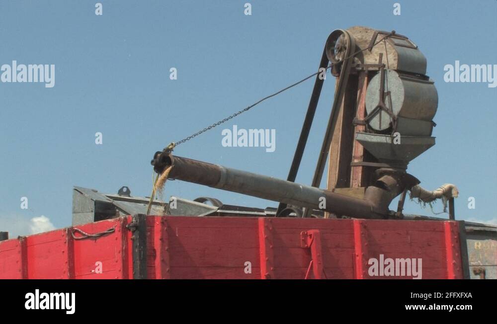 Threshing harvest grain wheat straw stuke stukes sheave stuking pioneer ...