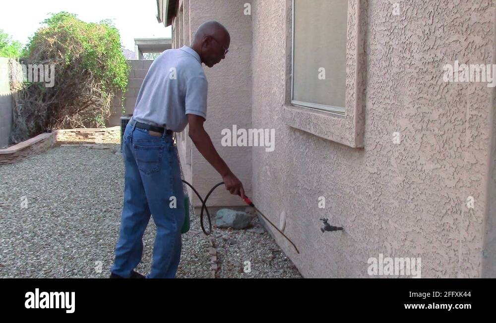 Pest elimination Stock Videos & Footage - HD and 4K Video Clips - Alamy