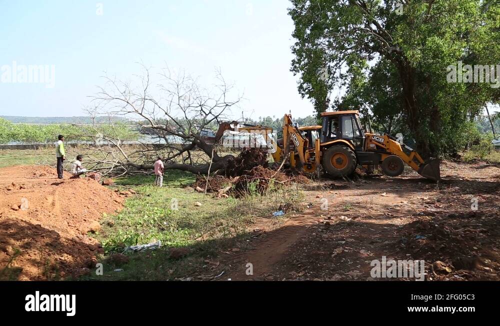 Dredge digging tree roots at the field, with man standing aside Stock ...