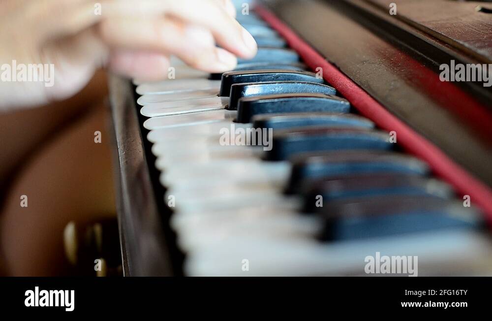Harmonium player Stock Videos & Footage HD and 4K Video Clips Alamy
