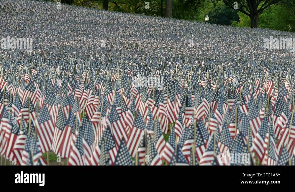 Revolutionary war display Stock Videos &