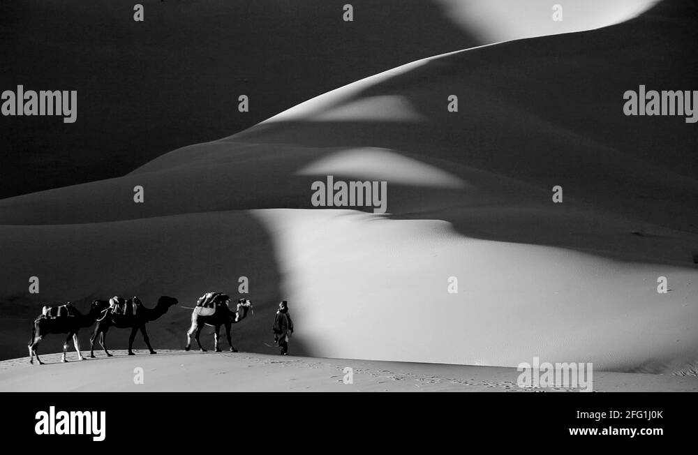 Desert black robes Stock Videos & Footage HD and 4K Video Clips Alamy