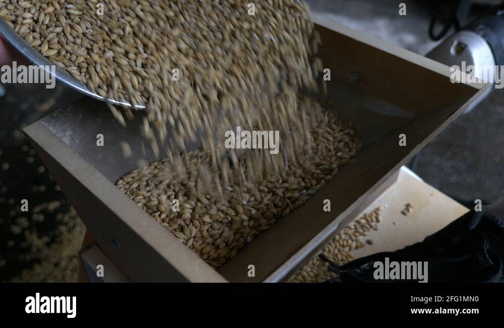 Beer grains poured into grain mill Stock Video Footage Alamy