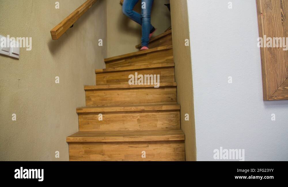 Dog looking down stairs Stock Videos & Footage HD and 4K Video Clips