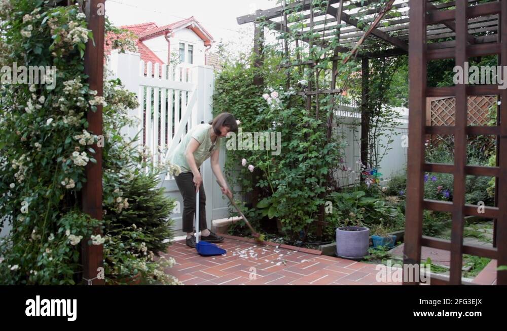 Broom flower Stock Videos & Footage HD and 4K Video Clips Alamy