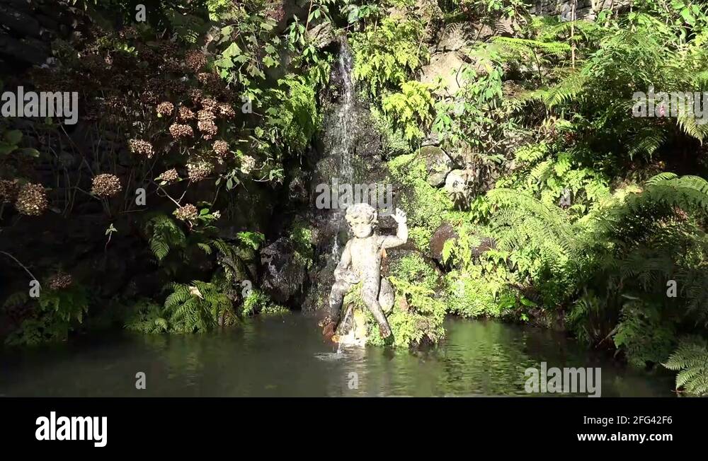 Madeira spring Stock Videos & Footage HD and 4K Video Clips Alamy