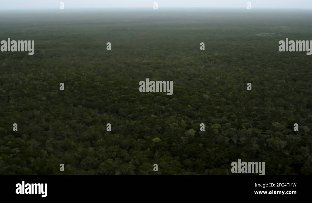 Largest forest Stock Videos & Footage HD and 4K Video Clips Alamy
