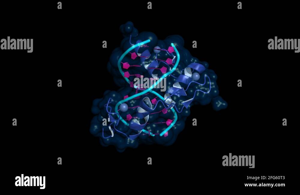 Zinc binding Stock Videos & Footage HD and 4K Video Clips Alamy