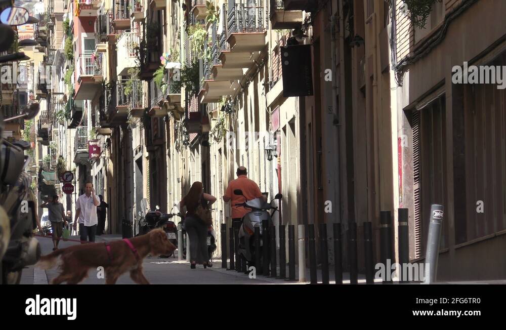 Barcelona gothic street art Stock Videos & Footage HD and 4K Video