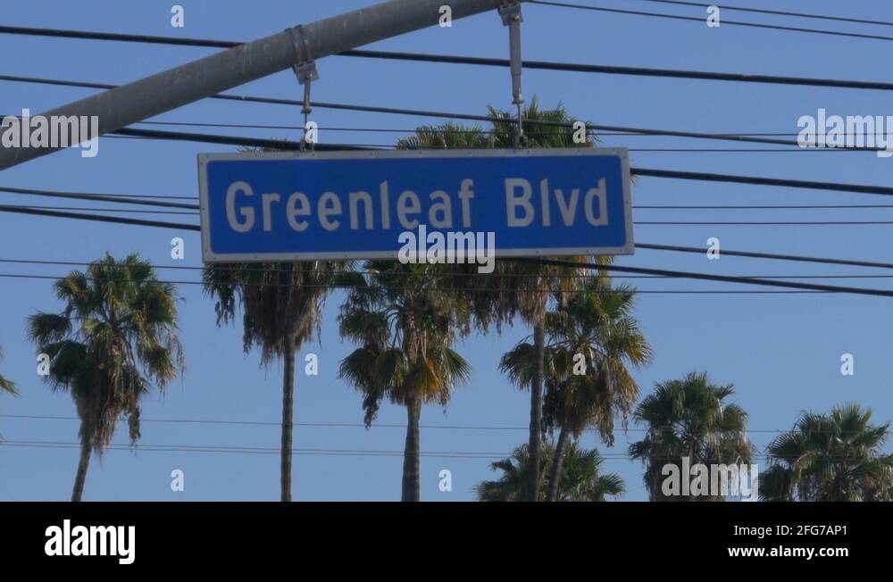 Greenleaf Stock Videos & Footage HD and 4K Video Clips Alamy