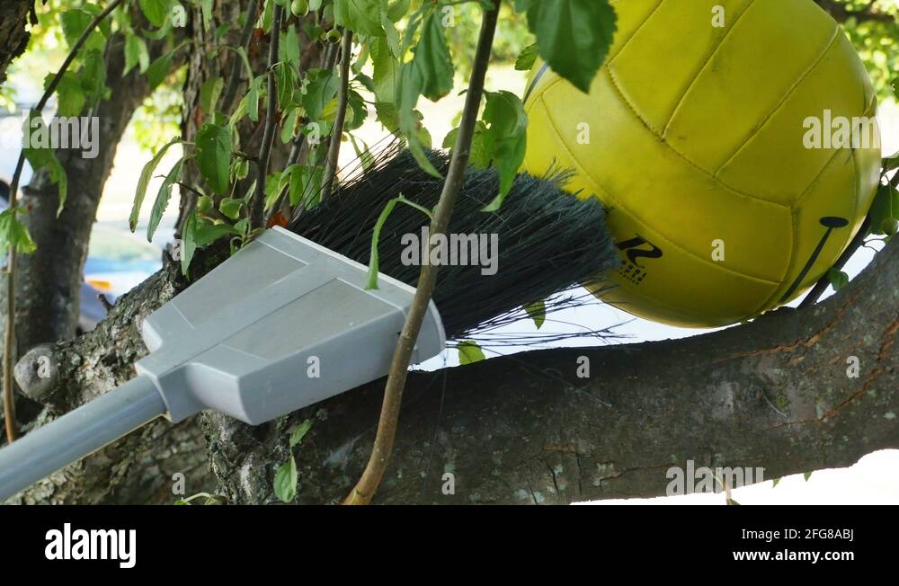 Smiley Face Ball Stuck in Tree Being Pushed Out by Child, 4K Stock