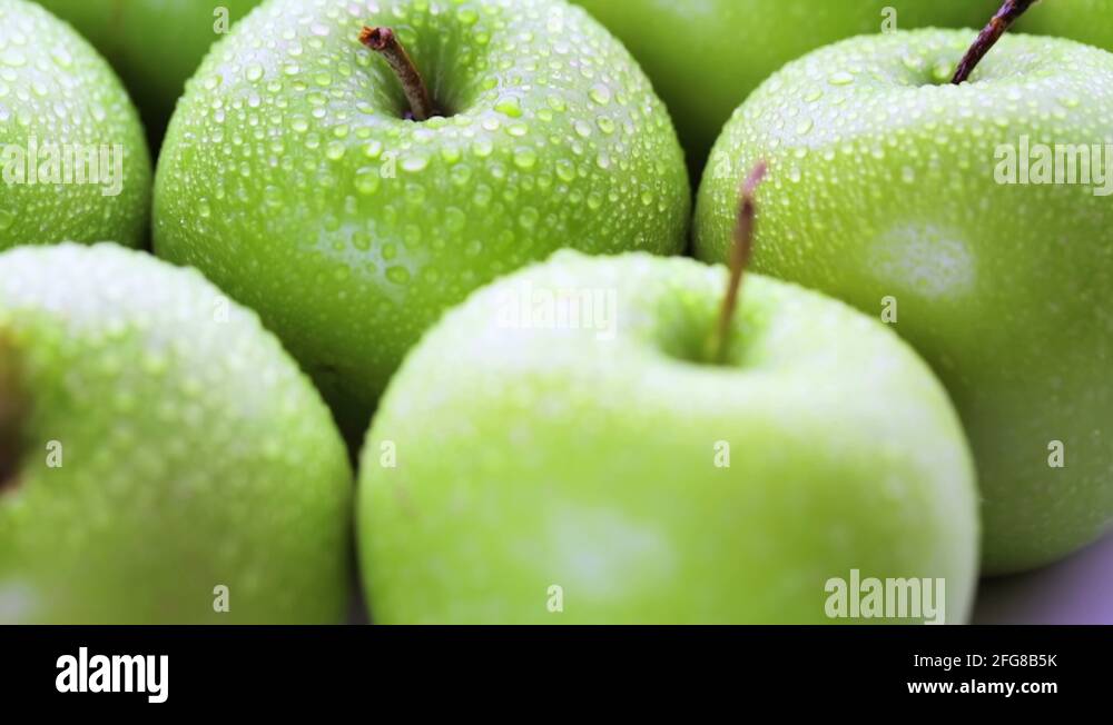 Round Apple Booty