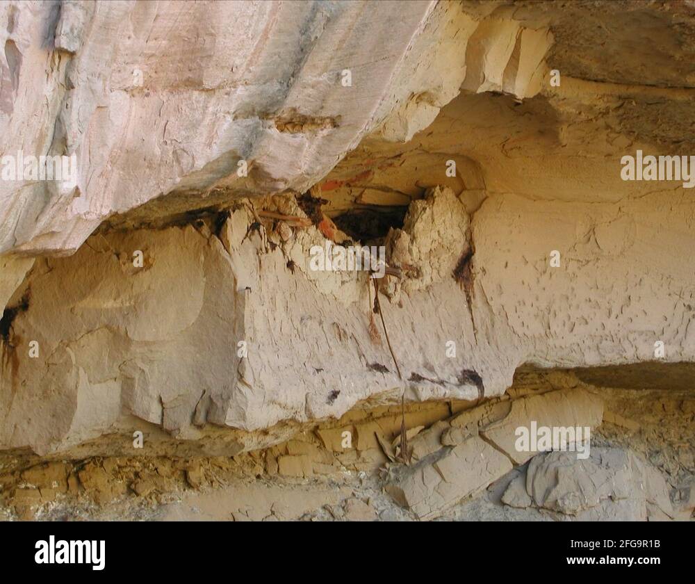 Ancient native american shelter Stock Videos & Footage - HD and 4K ...