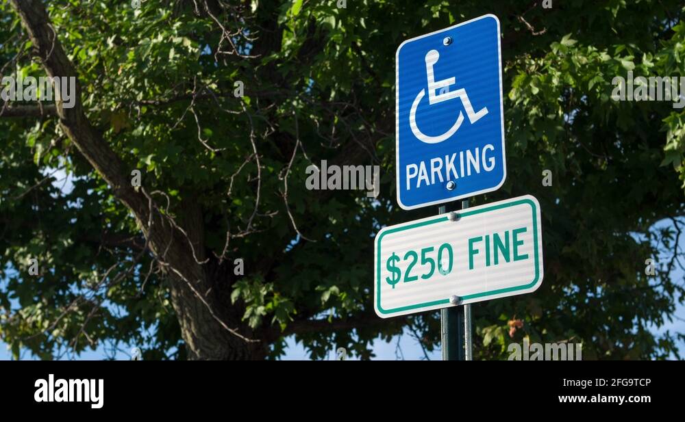 Handicap parking violation Stock Videos & Footage HD and 4K Video